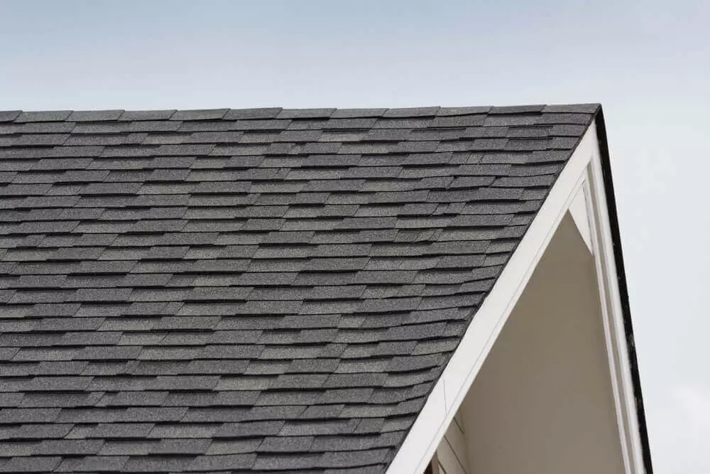 Black shingle roof