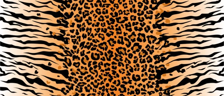 Paint the Cheetah Print